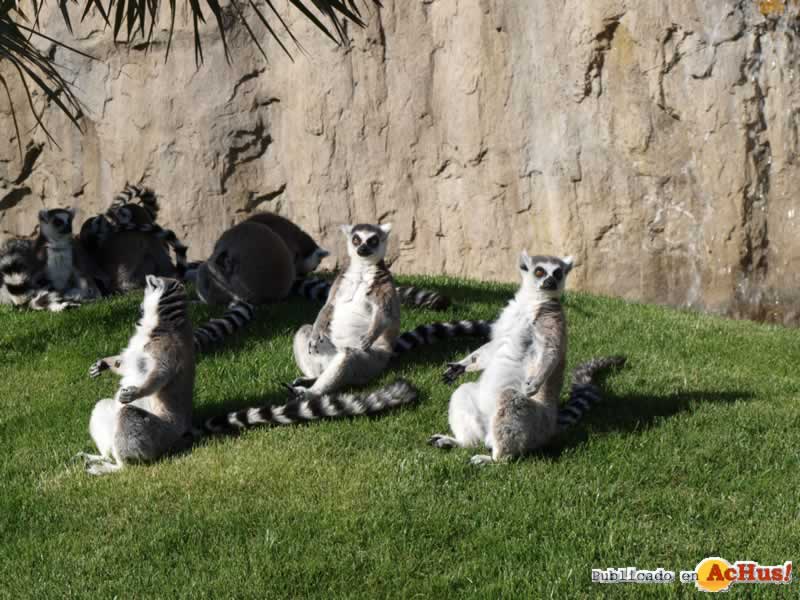 Bioparc 165