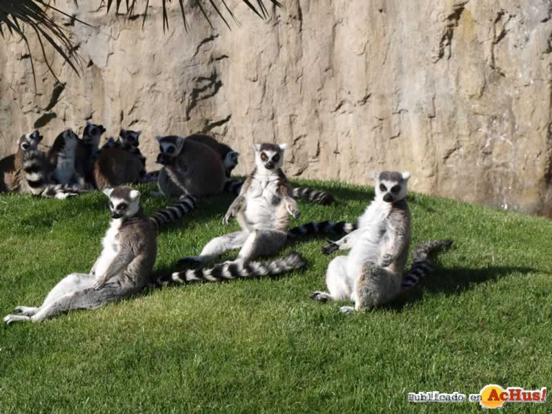 Bioparc 166