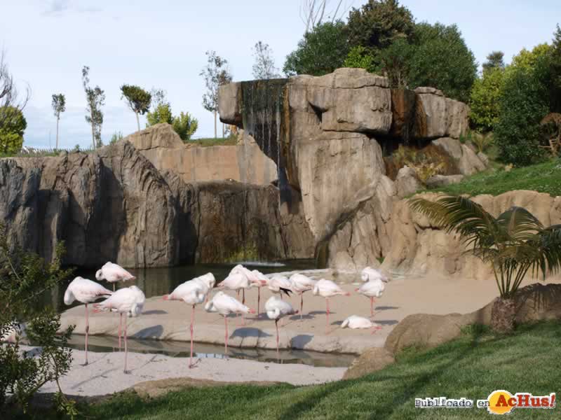 Bioparc 167