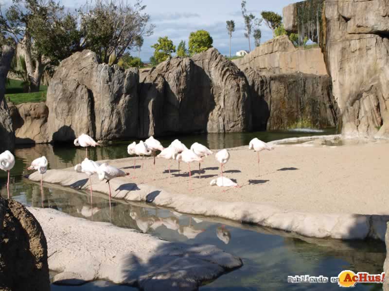 Bioparc 168