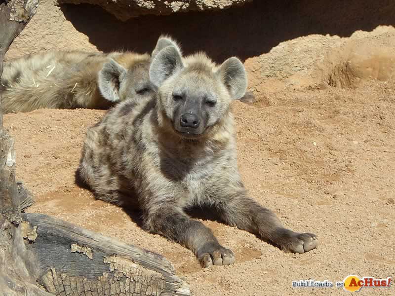 Bioparc 171