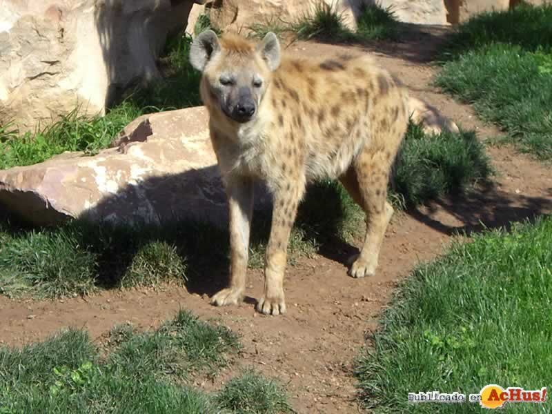 Bioparc 172