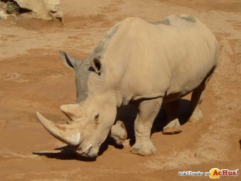 Bioparc 174