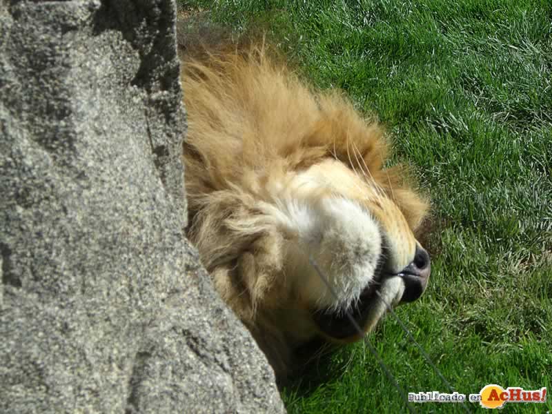 Bioparc 18