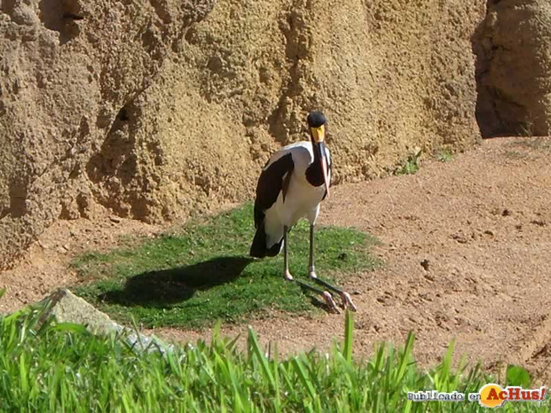 Bioparc 181