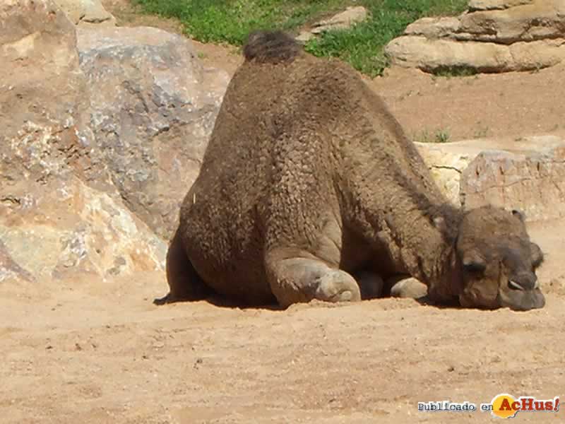 Bioparc 20