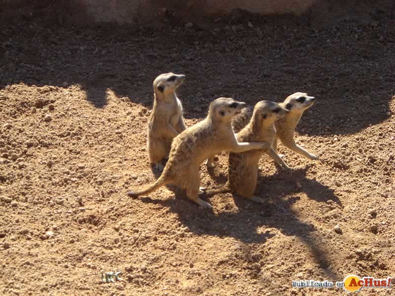 Bioparc 22