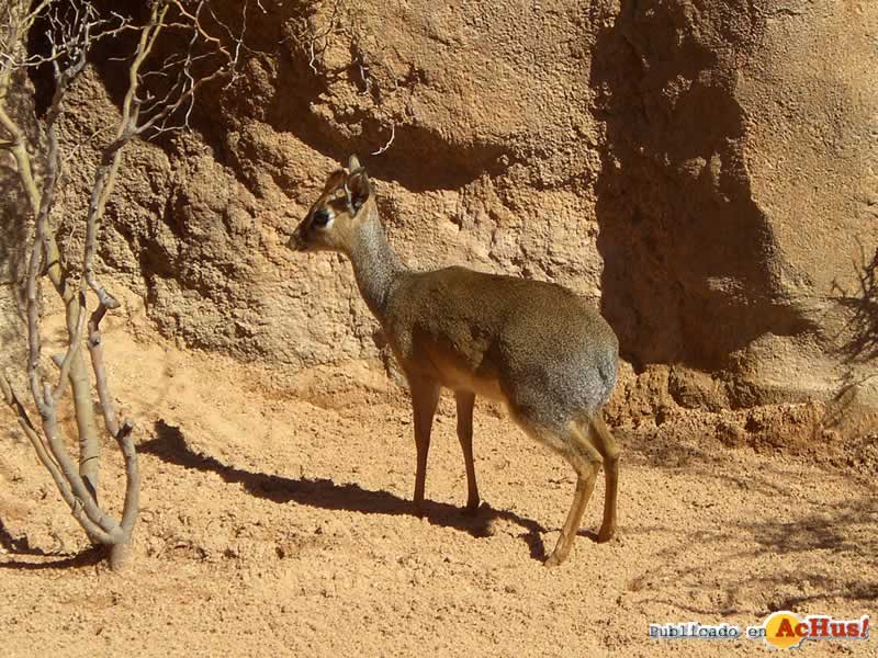 Bioparc 24