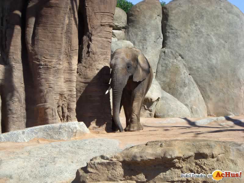 Bioparc 25