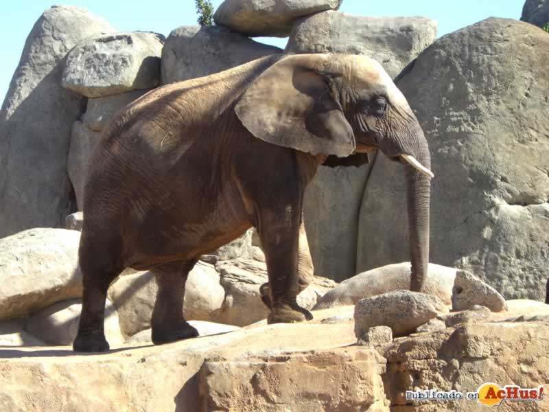 Bioparc 26
