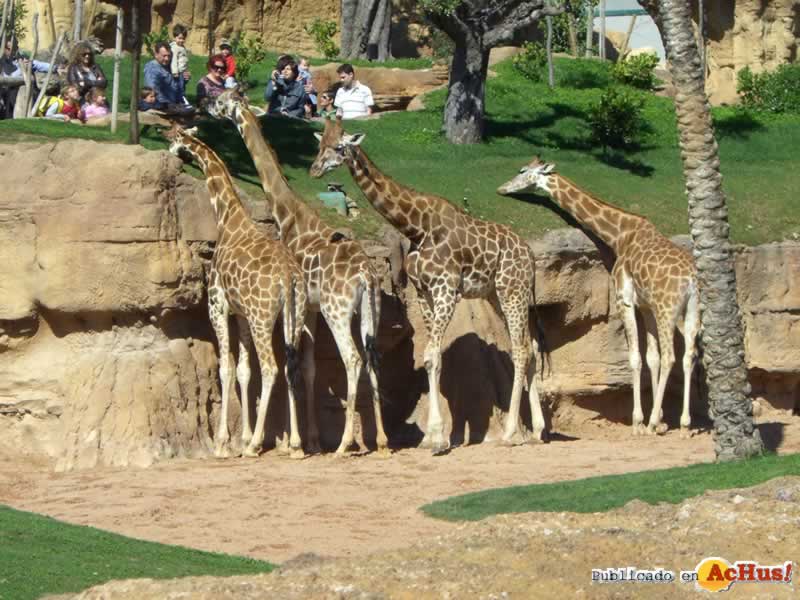 Bioparc 27