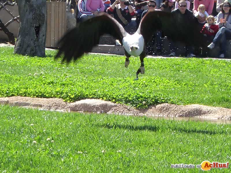 Bioparc 31