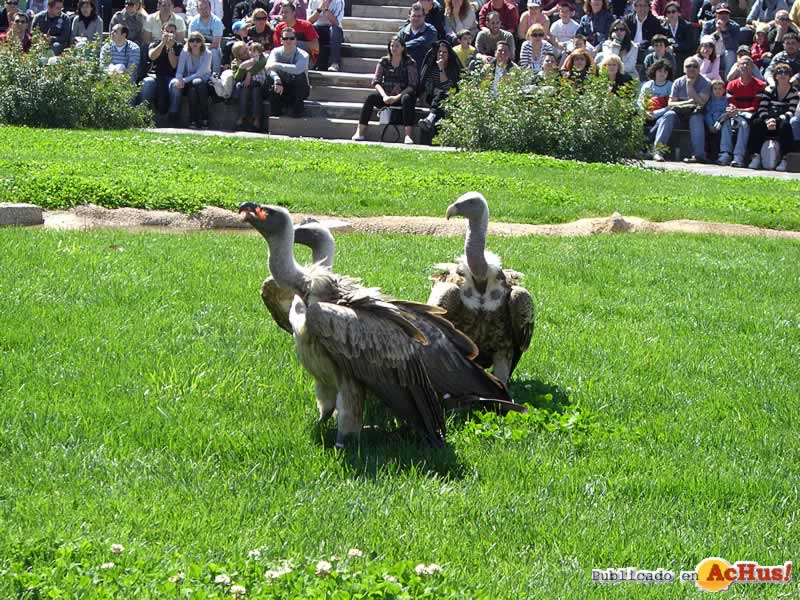 Bioparc 32