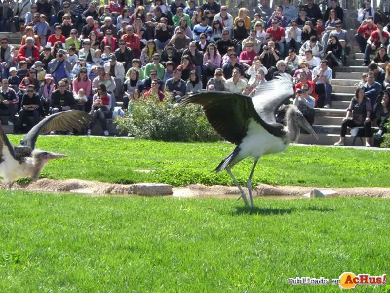 Bioparc 33