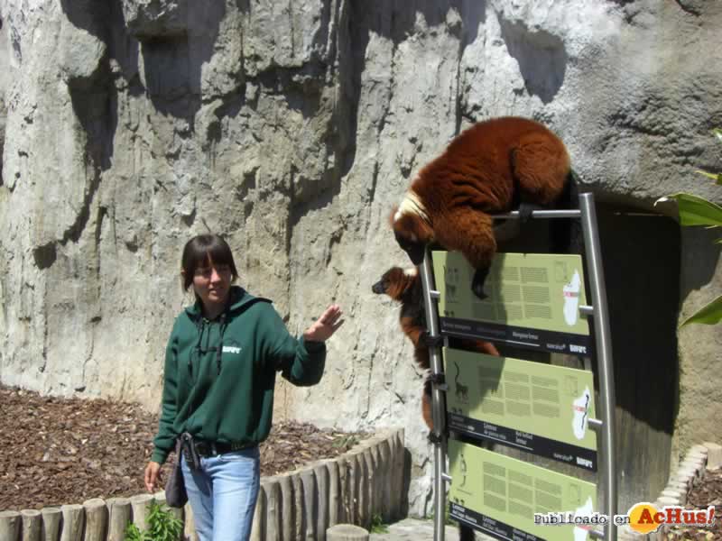 Bioparc 38