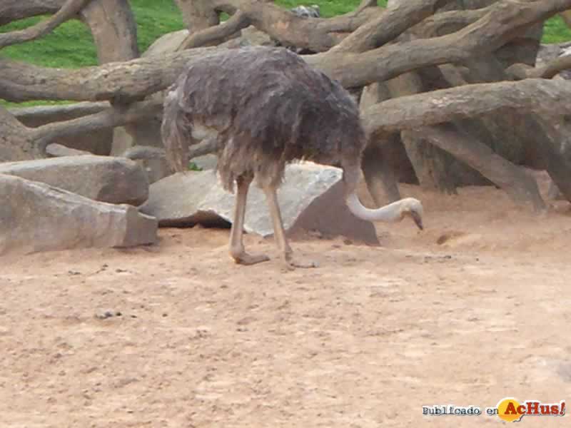 Bioparc 42