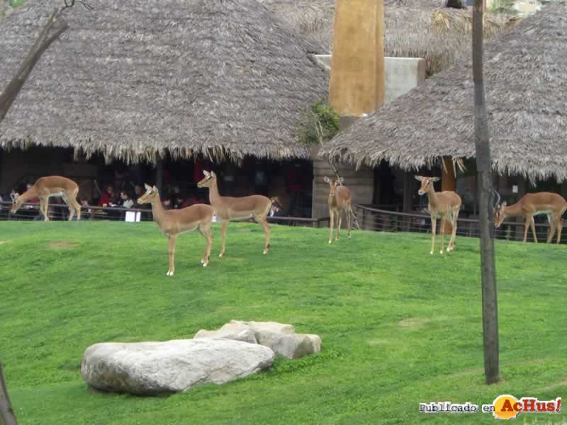 Bioparc 44