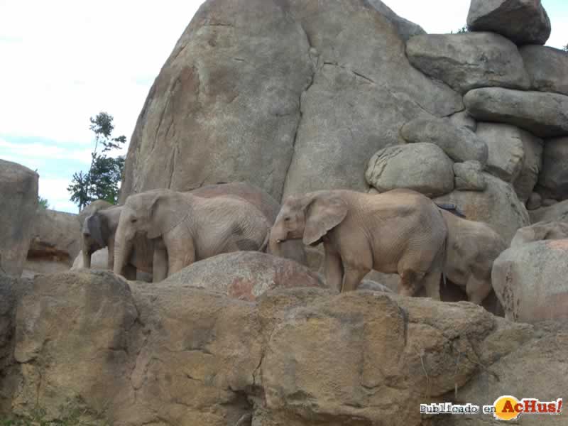 Bioparc 47