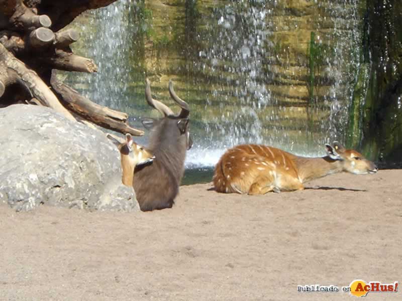 Bioparc 48