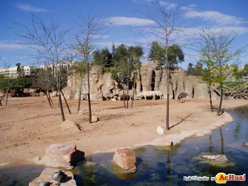 Bioparc 58