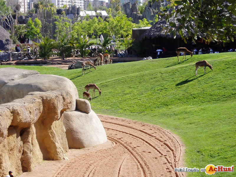 Bioparc 64