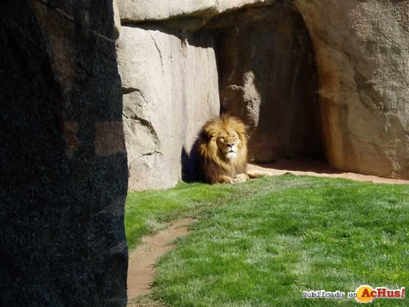 Bioparc 66