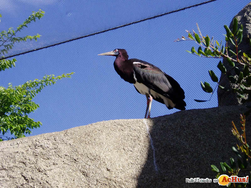 Bioparc 67