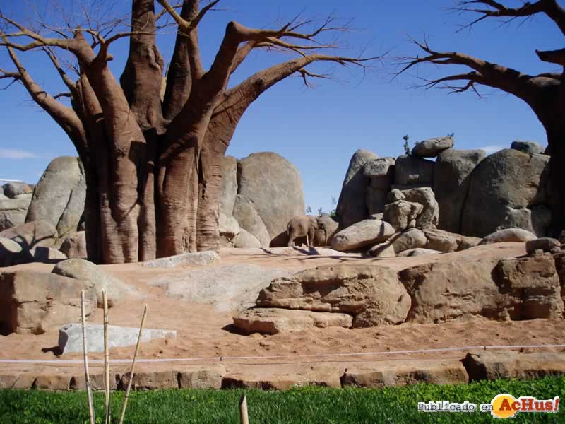 Bioparc 69