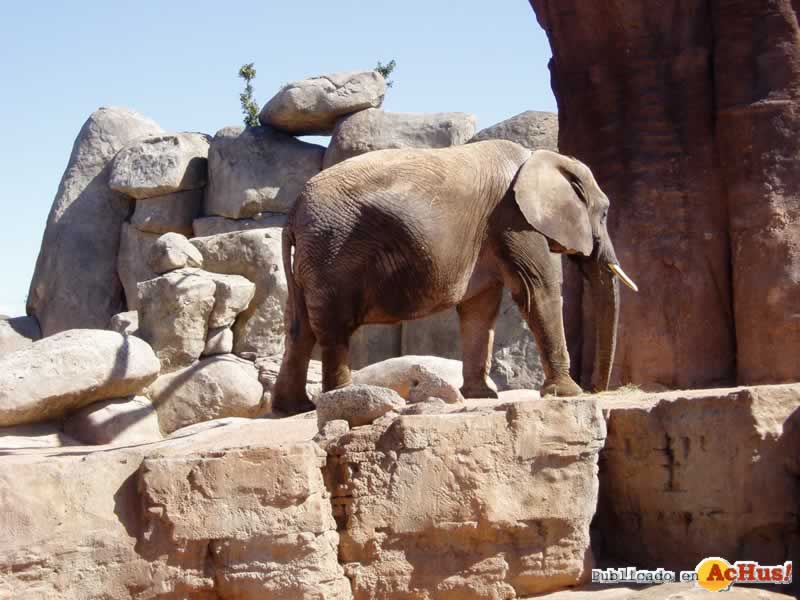 Bioparc 70