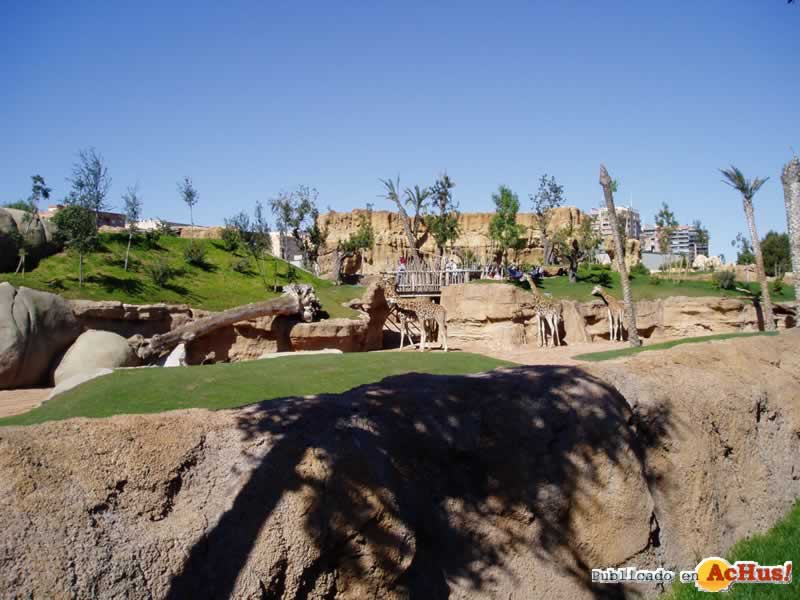 Bioparc 72