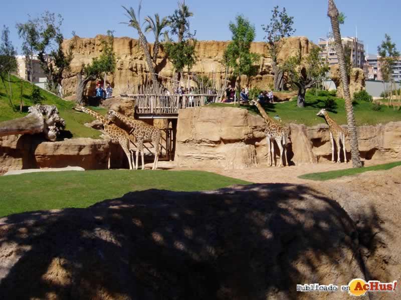 Bioparc 73