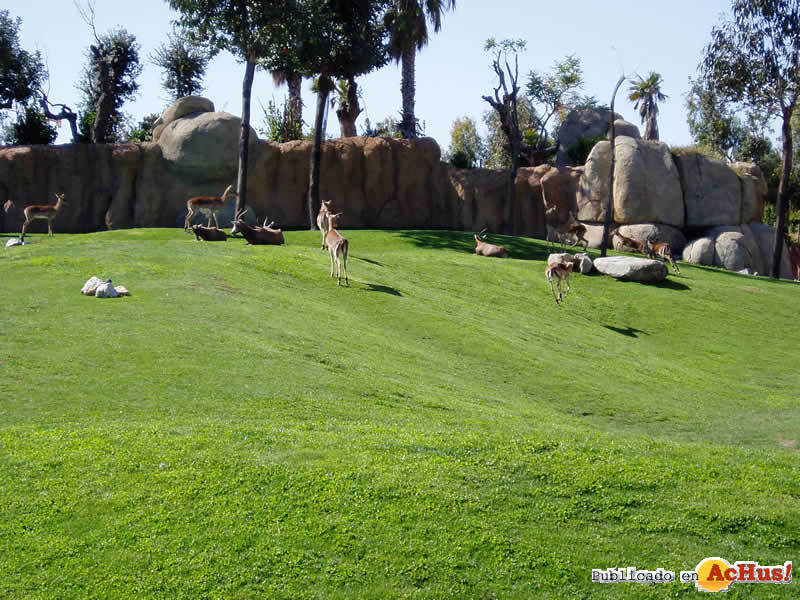 Bioparc 74