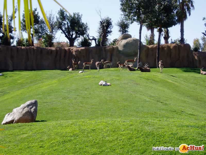 Bioparc 75