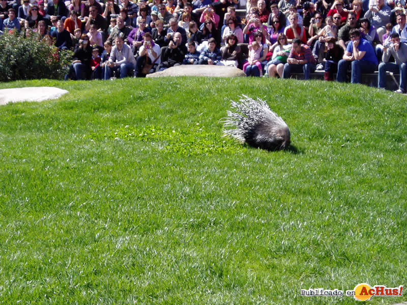 Bioparc 76