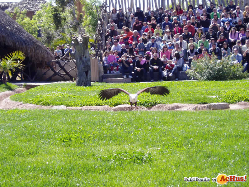 Bioparc 78