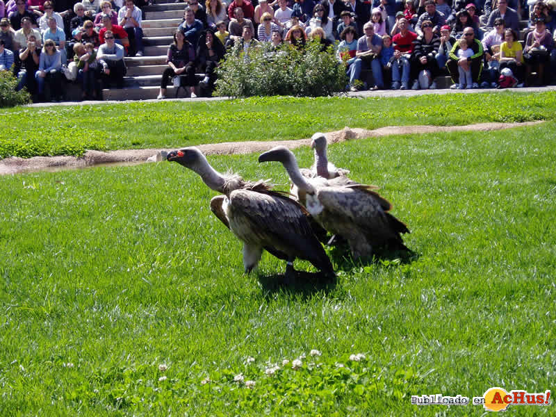 Bioparc 79