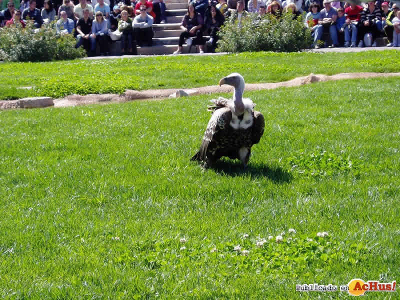 Bioparc 80