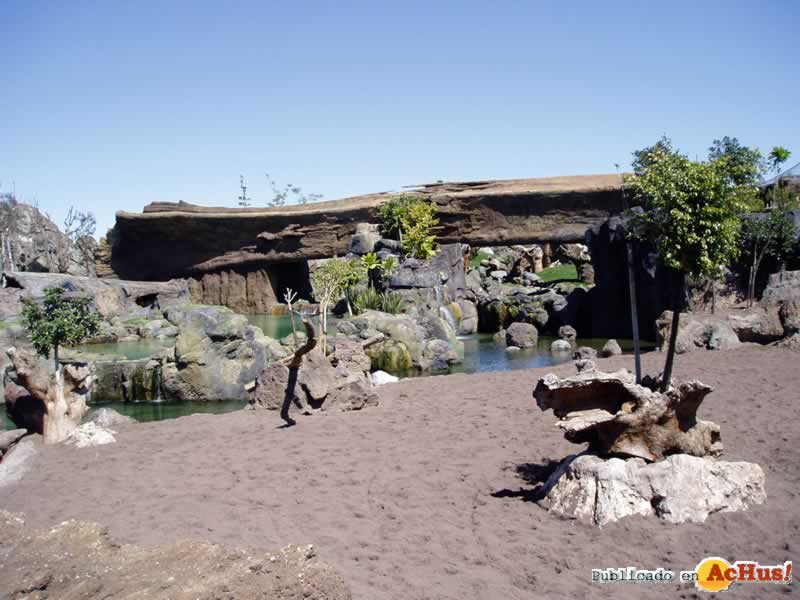 Bioparc 81