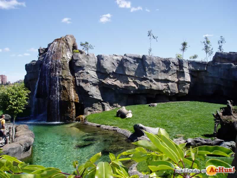 Bioparc 82
