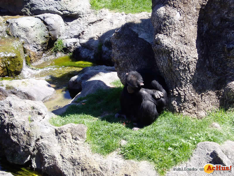Bioparc 84