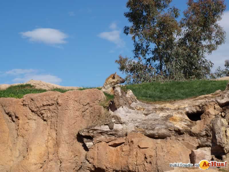 Bioparc 87