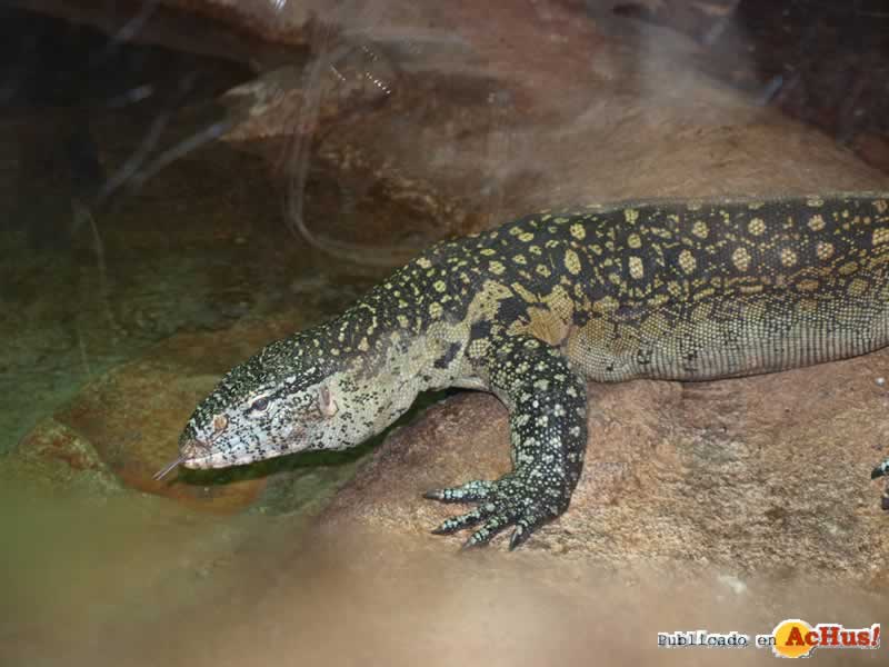 Bioparc 89