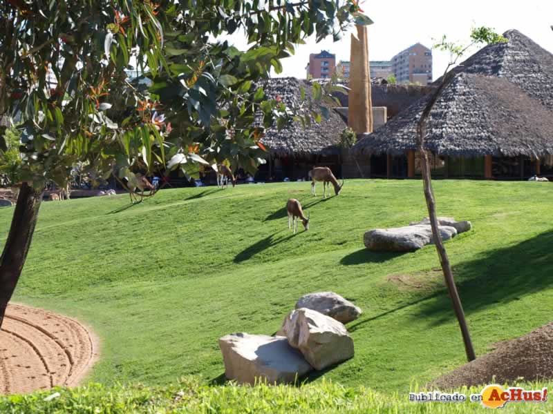 Bioparc 92