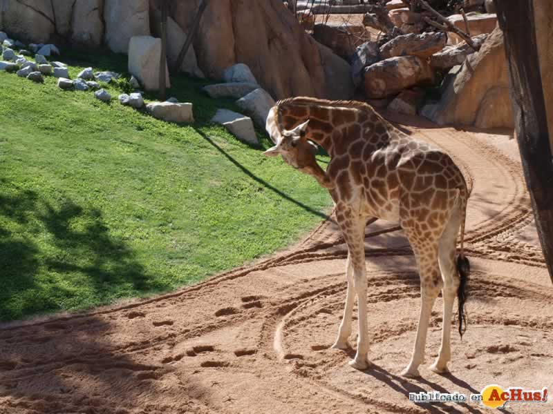Bioparc 94