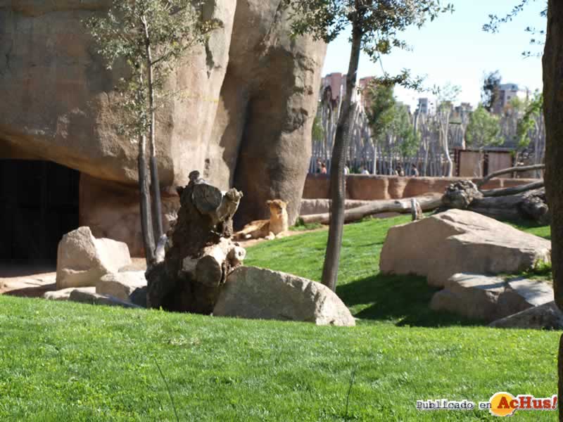 Bioparc 95