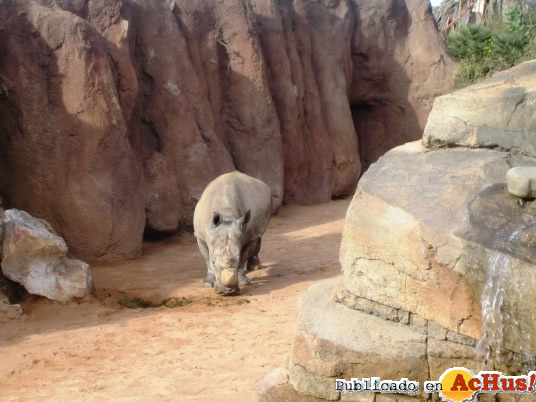 Biopark 04