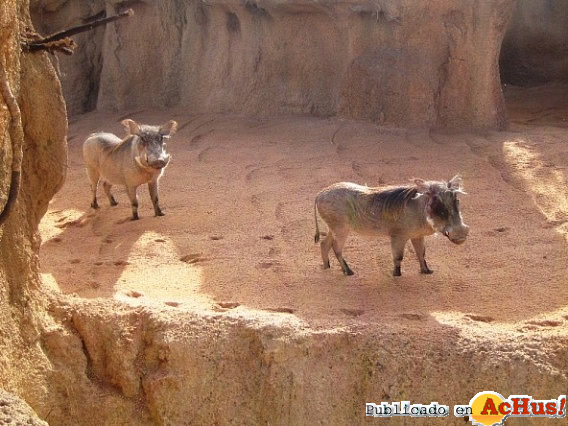 Biopark 05