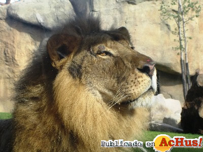 Biopark 06