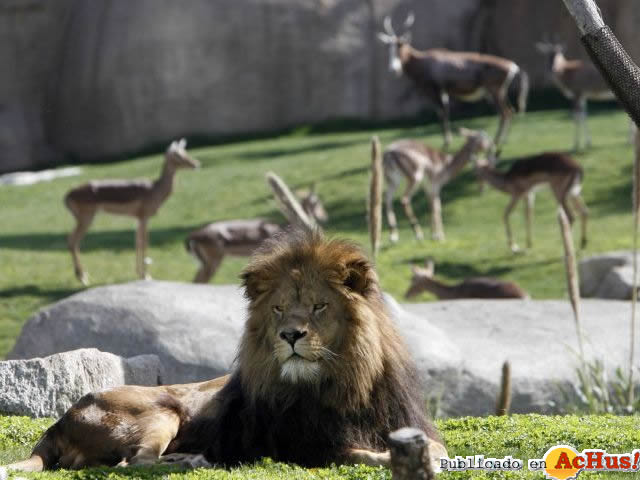 Biopark 07