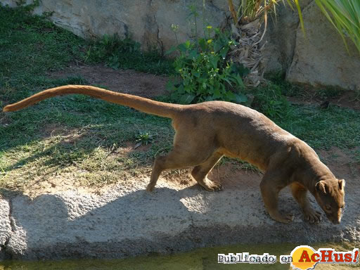 Biopark 09